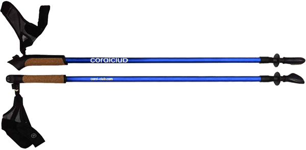 Nordic walking poles